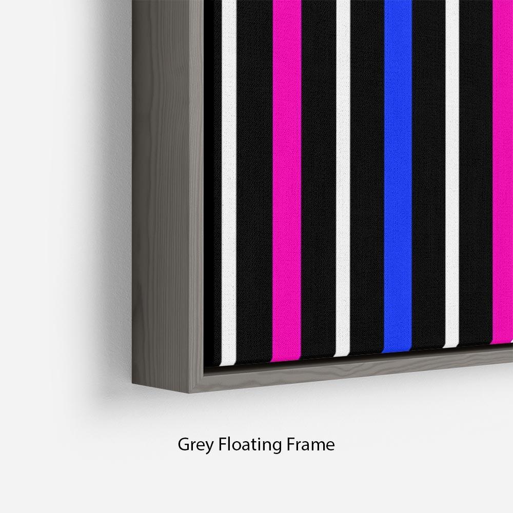 Colour Stripes FS3 Floating Frame Canvas