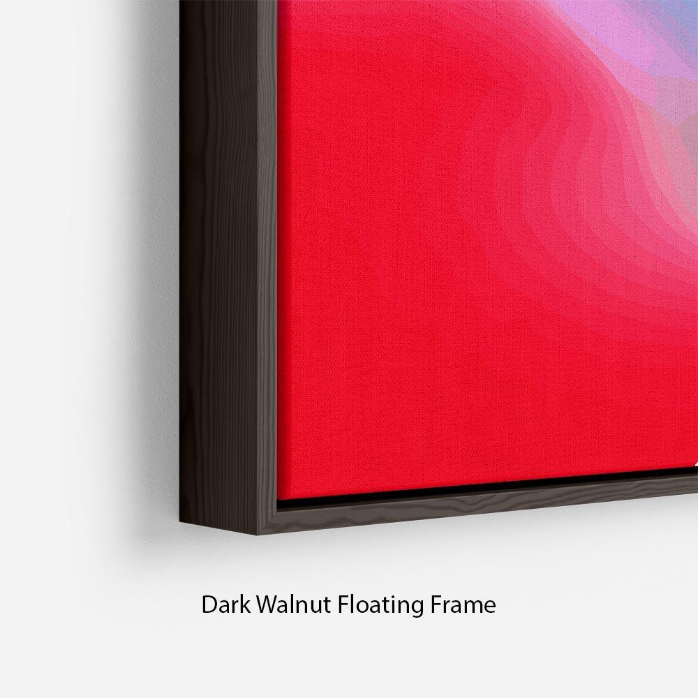 Colour Swirl Floating Frame Canvas