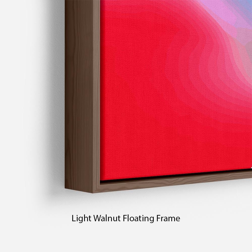Colour Swirl Floating Frame Canvas
