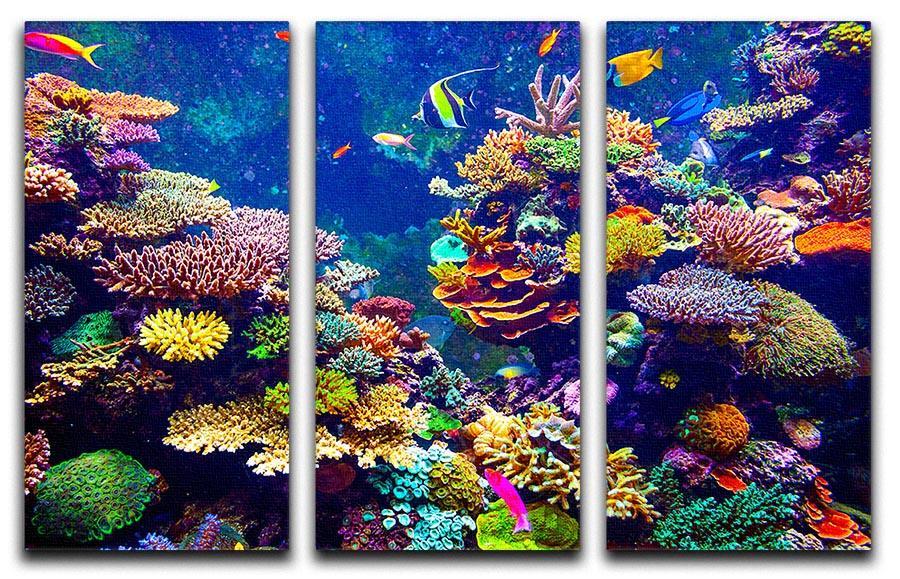Coral Reef and Tropical Fish 3 Split Panel Canvas Print - Canvas Art Rocks - 1