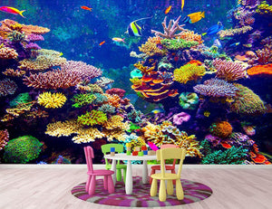 Coral Reef and Tropical Fish Wall Mural Wallpaper - Canvas Art Rocks - 2