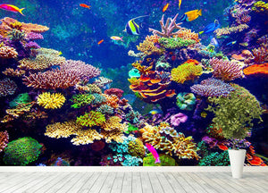 Coral Reef and Tropical Fish Wall Mural Wallpaper - Canvas Art Rocks - 4