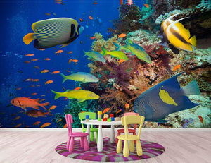 Coral Reef on Red Sea Wall Mural Wallpaper - Canvas Art Rocks - 2