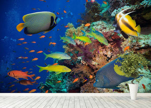Coral Reef on Red Sea Wall Mural Wallpaper - Canvas Art Rocks - 4