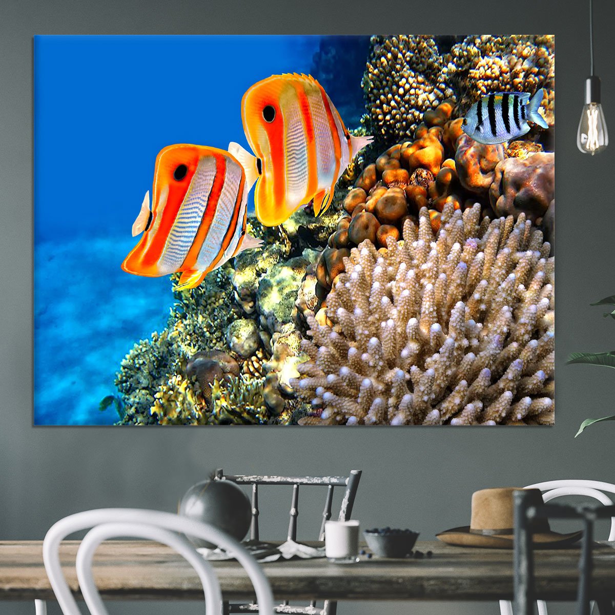 Coral reef and Copperband butterflyfish Canvas Print or Poster
