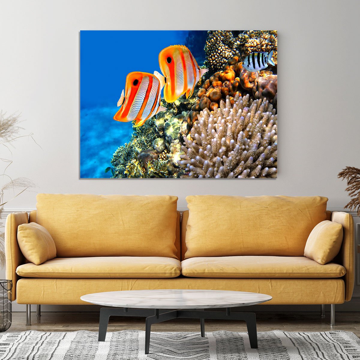 Coral reef and Copperband butterflyfish Canvas Print or Poster