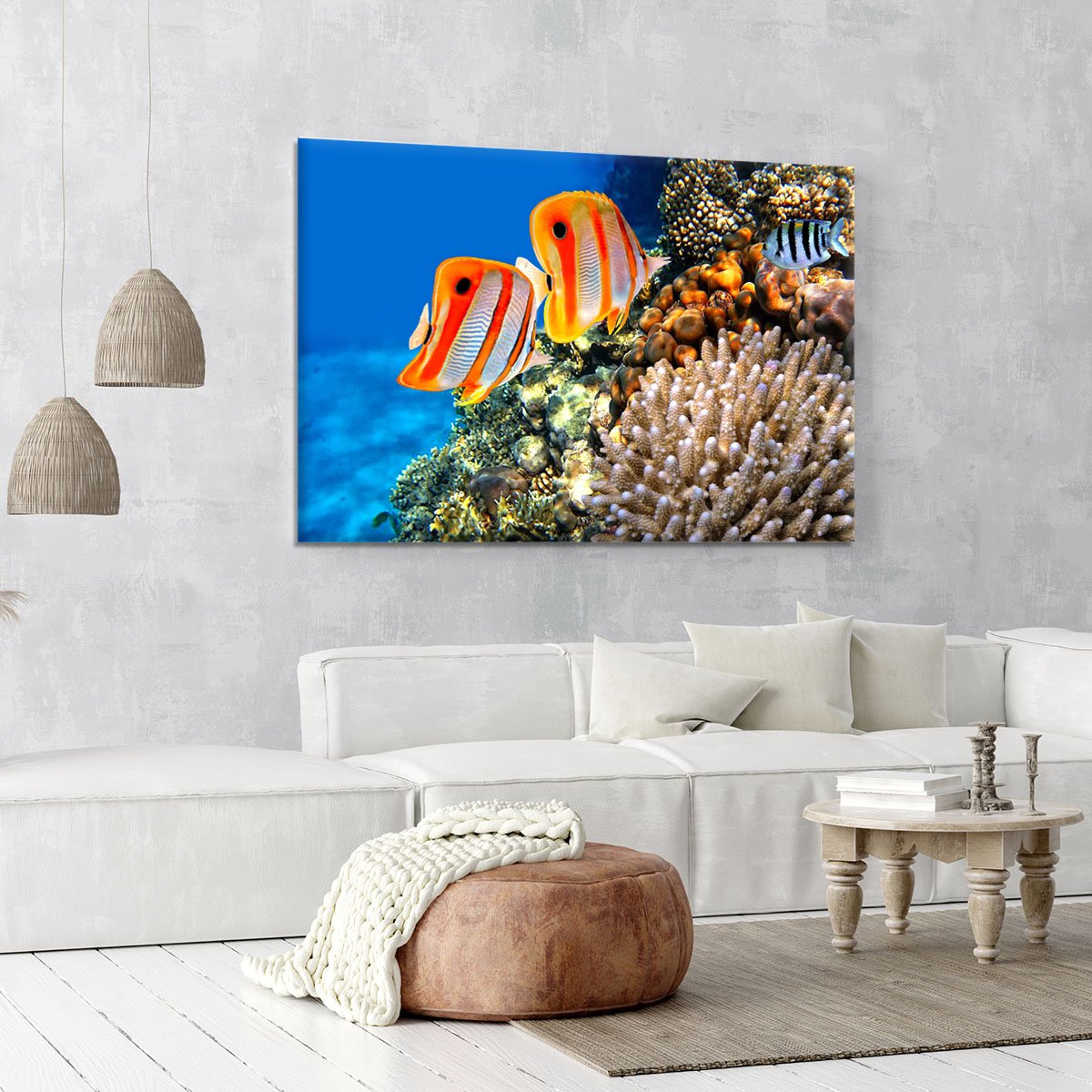 Coral reef and Copperband butterflyfish Canvas Print or Poster