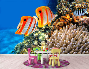 Coral reef and Copperband butterflyfish Wall Mural Wallpaper - Canvas Art Rocks - 2