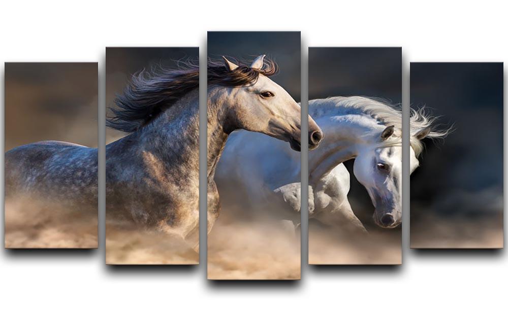 Couple of horse run in dust at sunset light 5 Split Panel Canvas - Canvas Art Rocks - 1