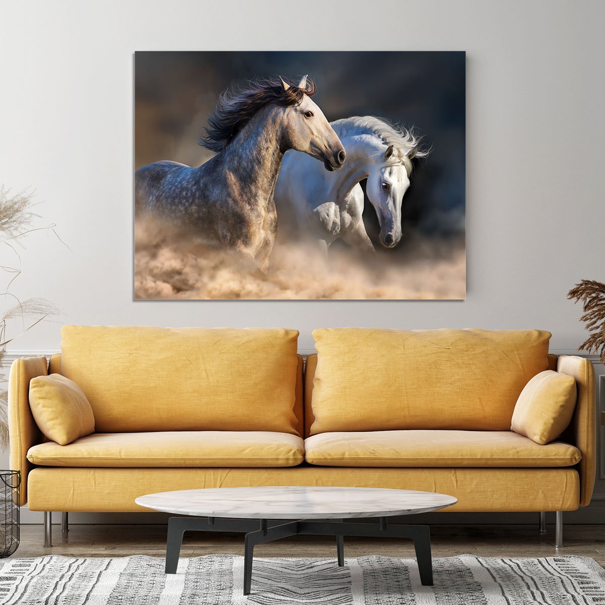 Couple of horse run in dust at sunset light Canvas Print or Poster