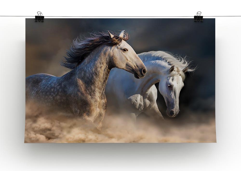 Couple of horse run in dust at sunset light Canvas Print or Poster - Canvas Art Rocks - 2
