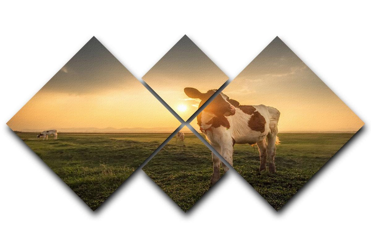 Cow 4 Square Multi Panel Canvas - Canvas Art Rocks - 1