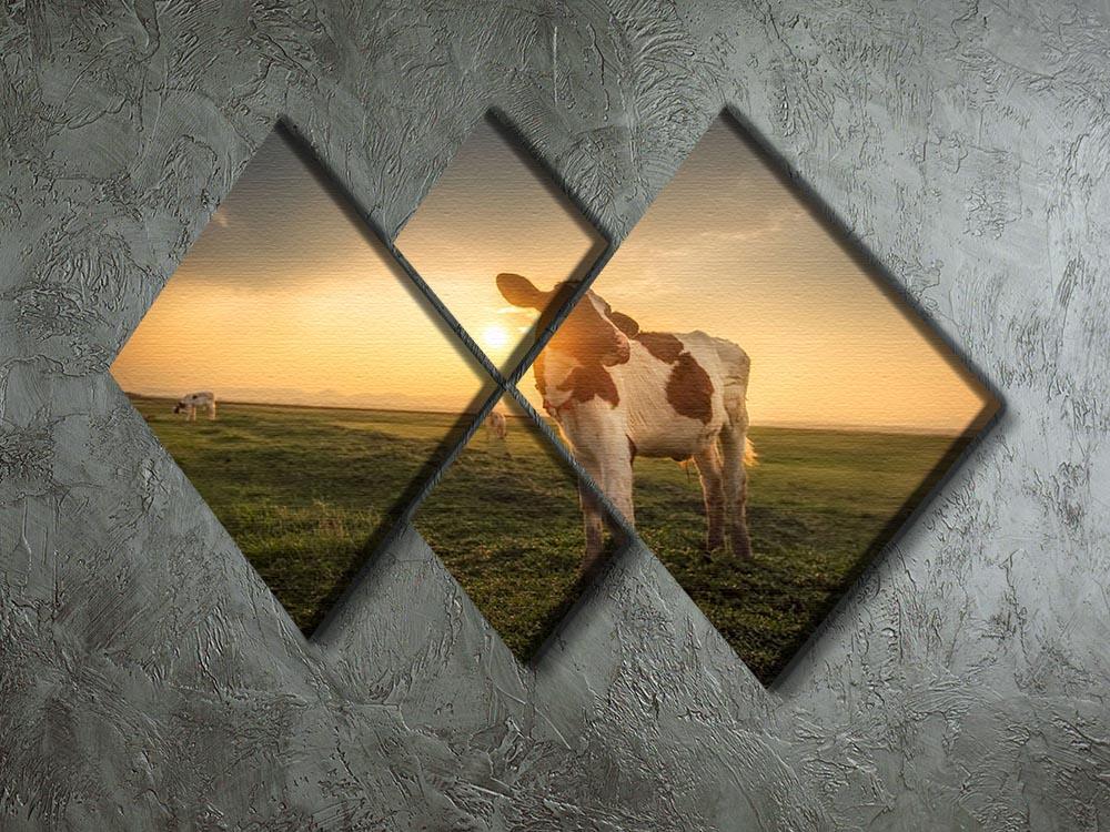 Cow 4 Square Multi Panel Canvas - Canvas Art Rocks - 2