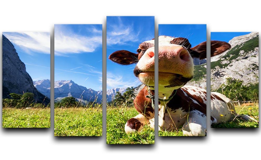 Cows at the karwendel mountains in austria 5 Split Panel Canvas - Canvas Art Rocks - 1