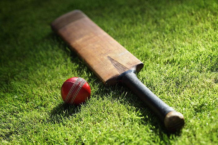 Cricket bat and ball on green grass Wall Mural Wallpaper