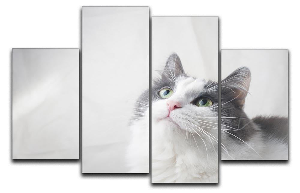 Curious cat looking up 4 Split Panel Canvas - Canvas Art Rocks - 1