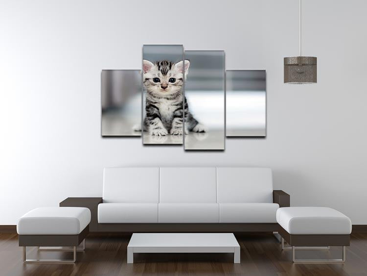 Cute American shorthair cat kitten 4 Split Panel Canvas - Canvas Art Rocks - 3