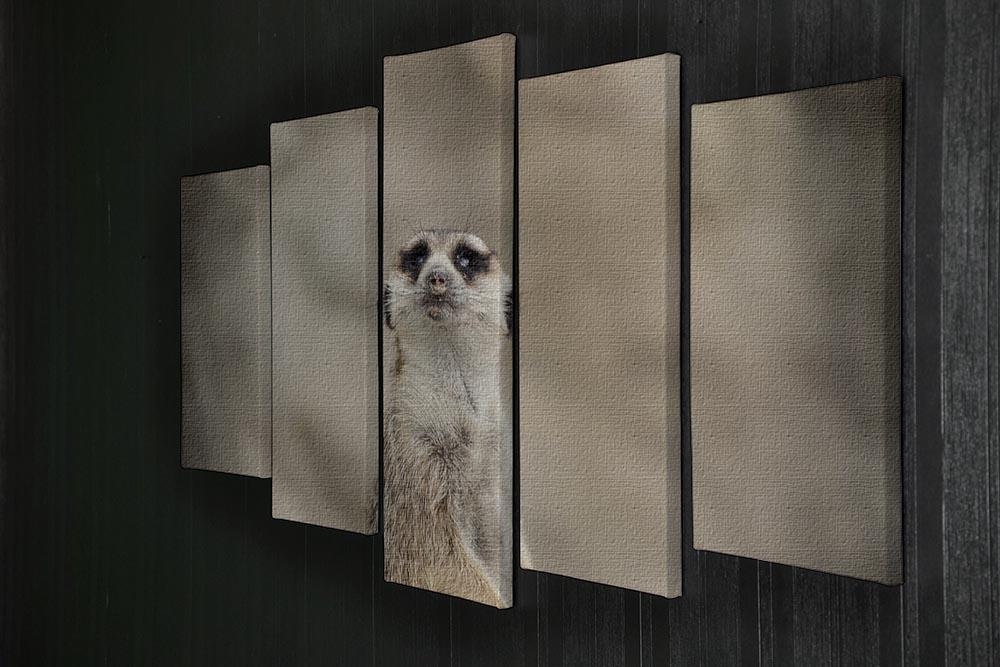 Cute Meerkat 5 Split Panel Canvas - Canvas Art Rocks - 2
