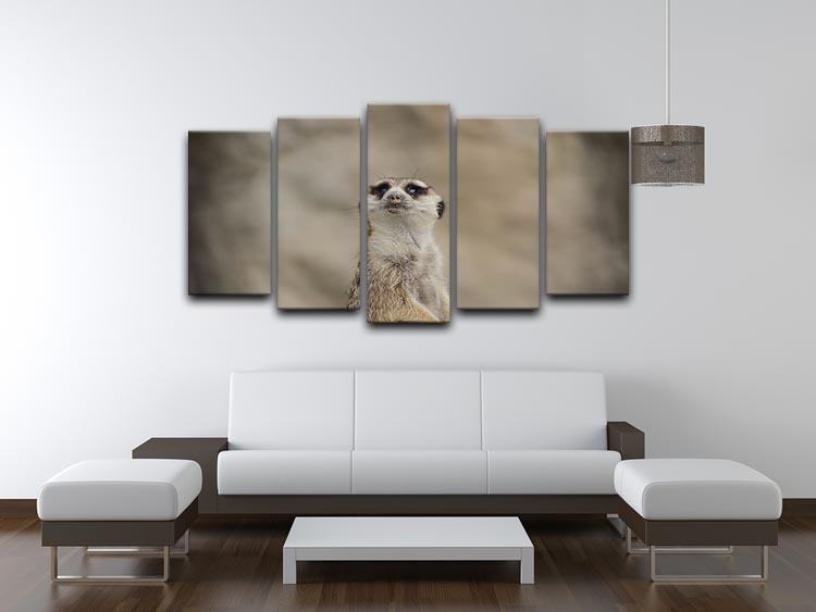 Cute Meerkat 5 Split Panel Canvas - Canvas Art Rocks - 3