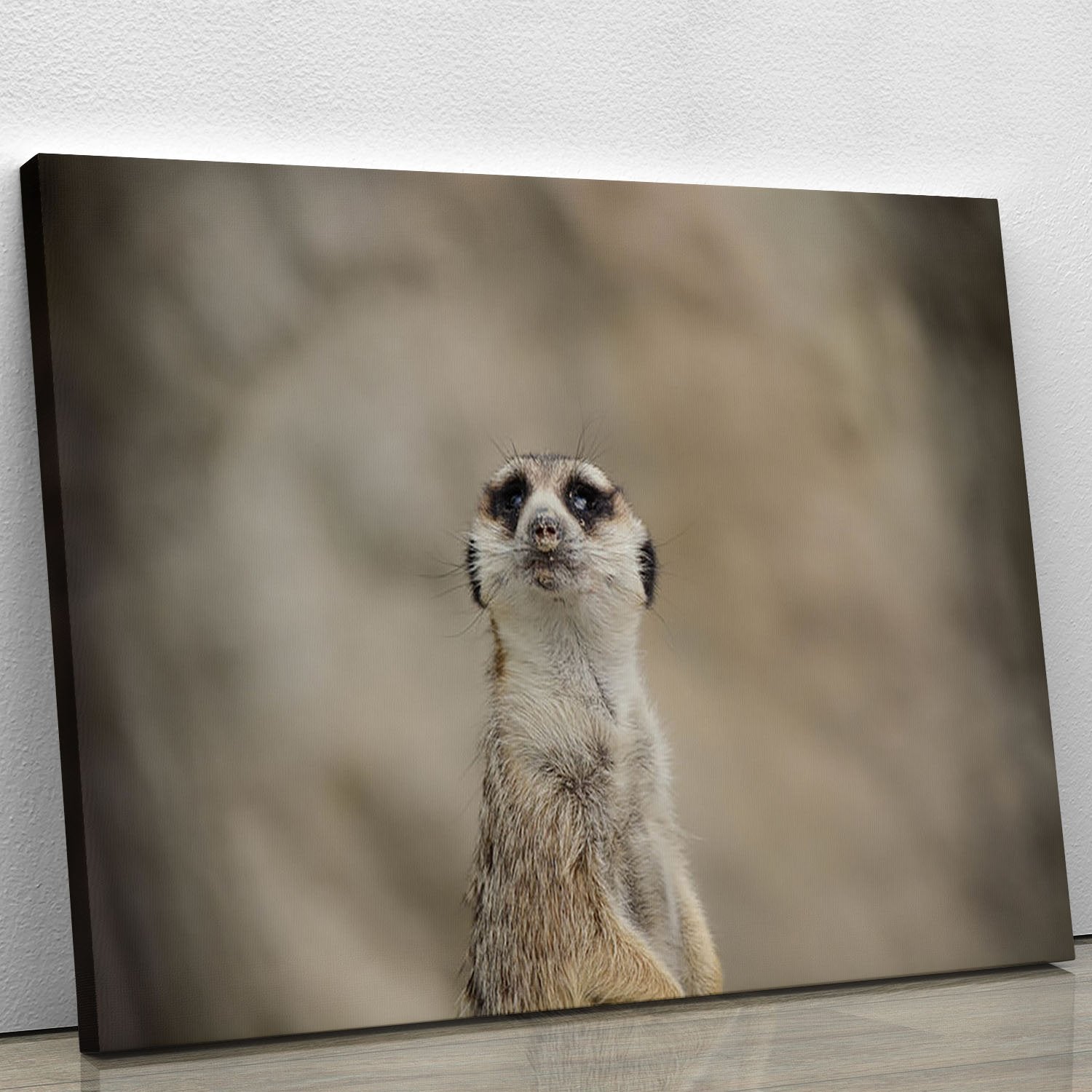 Cute Meerkat Canvas Print or Poster