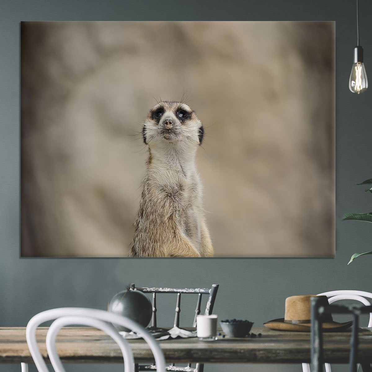 Cute Meerkat Canvas Print or Poster