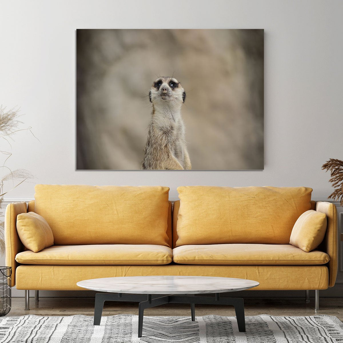 Cute Meerkat Canvas Print or Poster