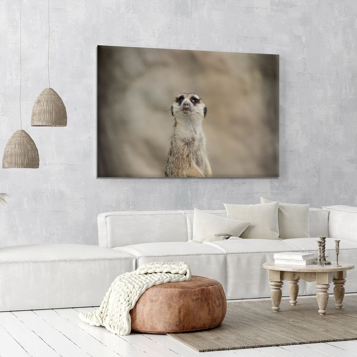 Cute Meerkat Canvas Print or Poster