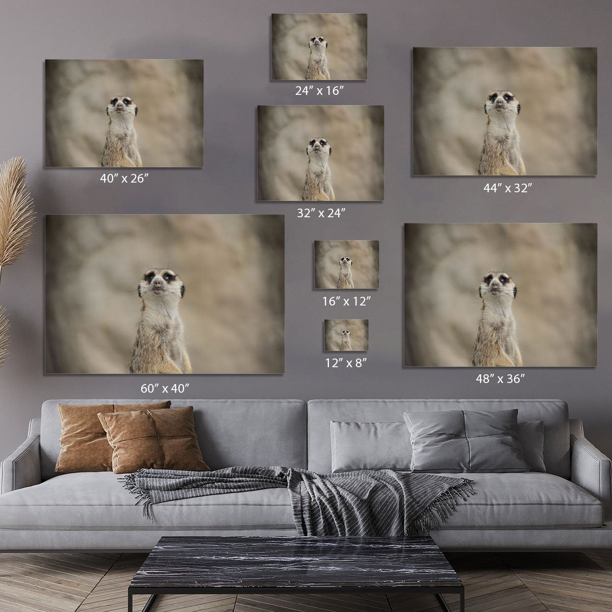 Cute Meerkat Canvas Print or Poster