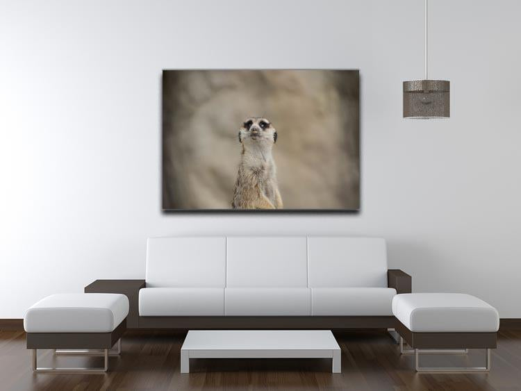 Cute Meerkat Canvas Print or Poster - Canvas Art Rocks - 4