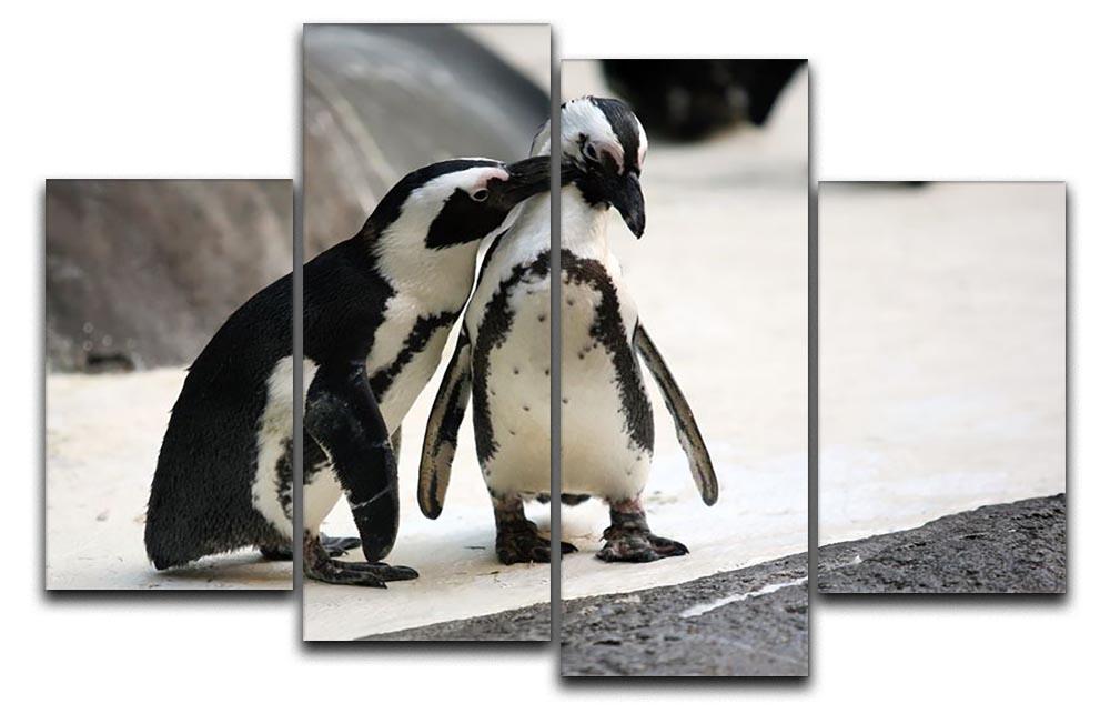 Cute affectionate penguin couple at the zoo 4 Split Panel Canvas - Canvas Art Rocks - 1