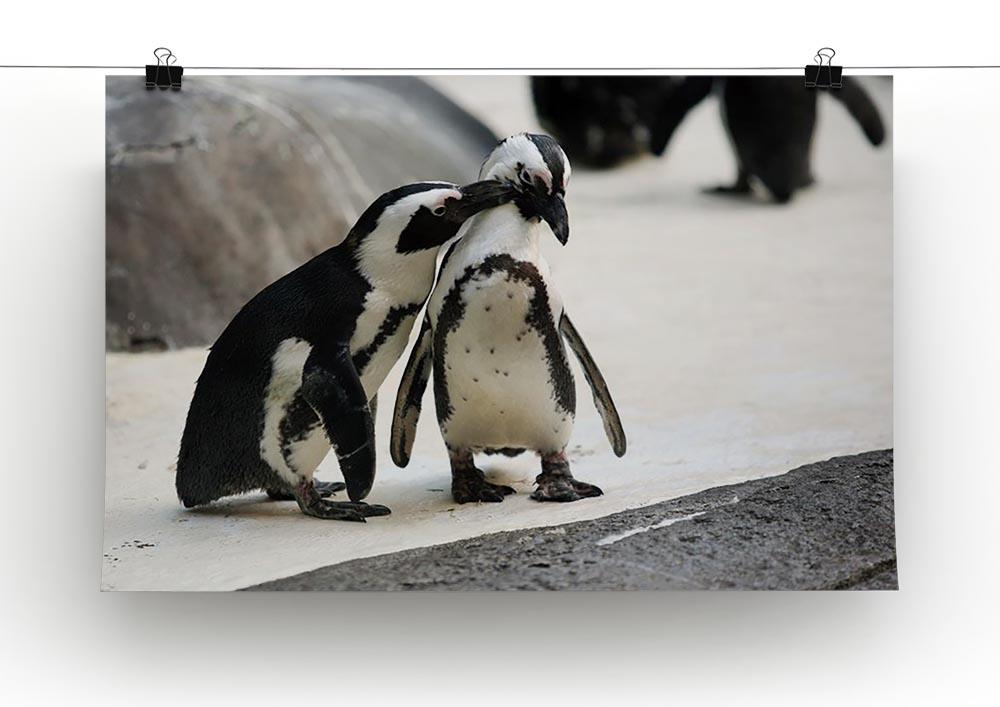 Cute affectionate penguin couple at the zoo Canvas Print or Poster - Canvas Art Rocks - 2