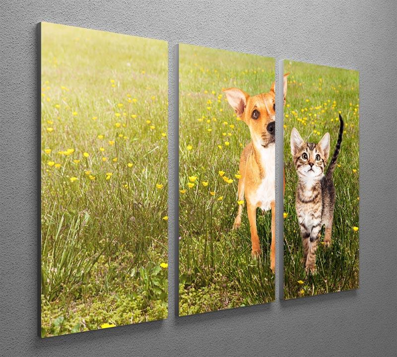 Cute kitten and puppy together in a field 3 Split Panel Canvas Print - Canvas Art Rocks - 2