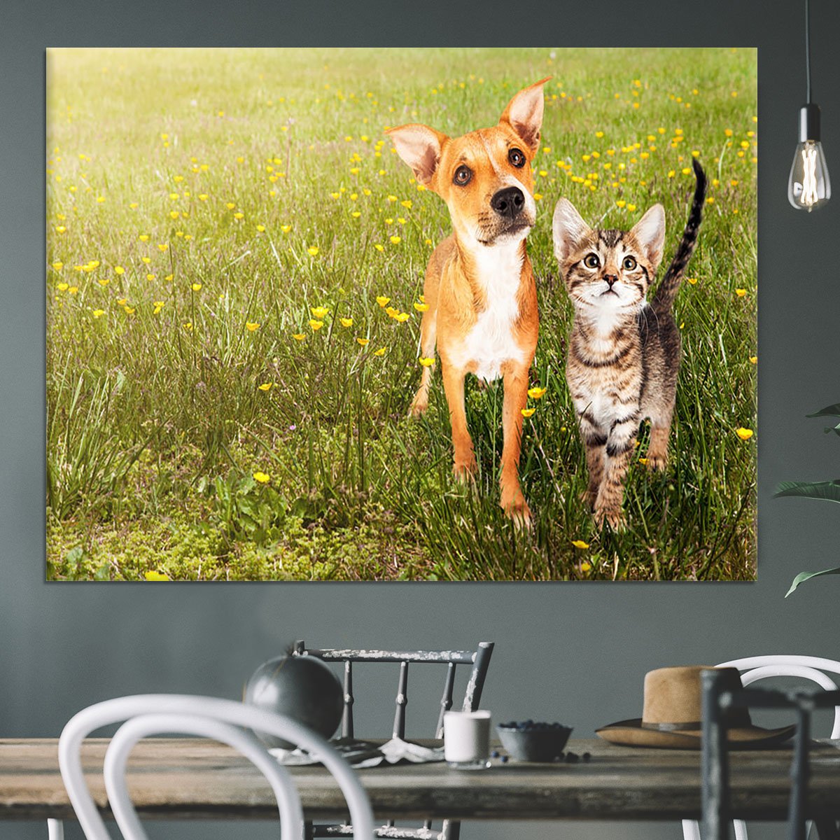 Cute kitten and puppy together in a field Canvas Print or Poster