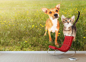 Cute kitten and puppy together in a field Wall Mural Wallpaper - Canvas Art Rocks - 2