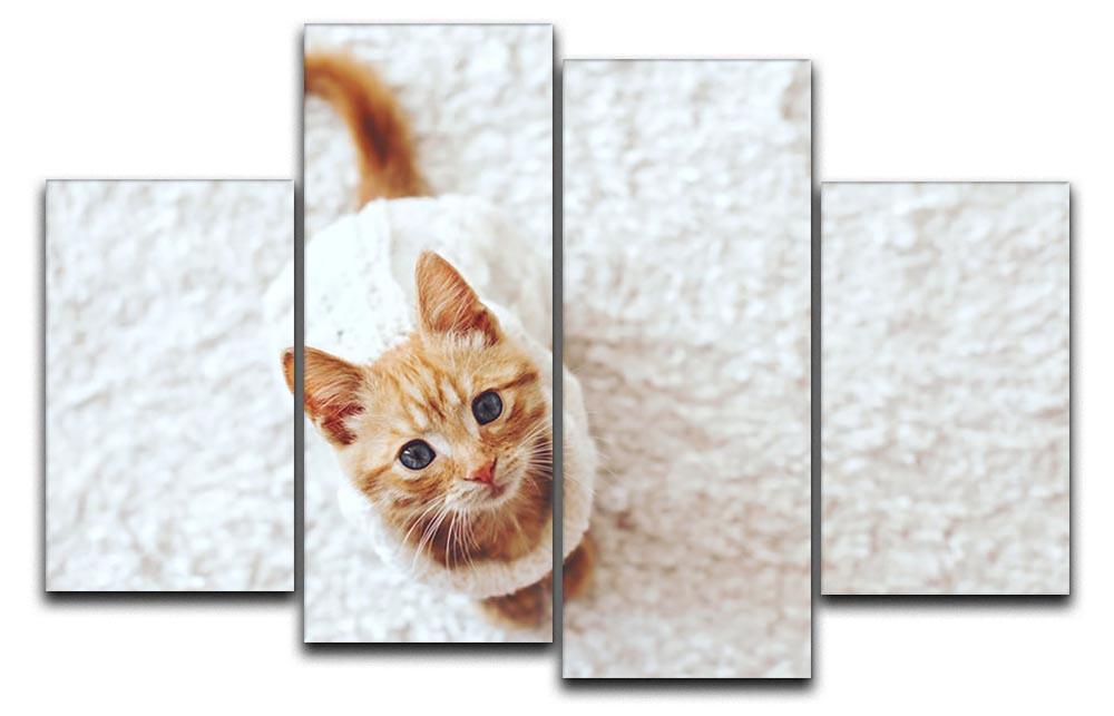 Cute little kitten wearing warm knitted sweater 4 Split Panel Canvas - Canvas Art Rocks - 1