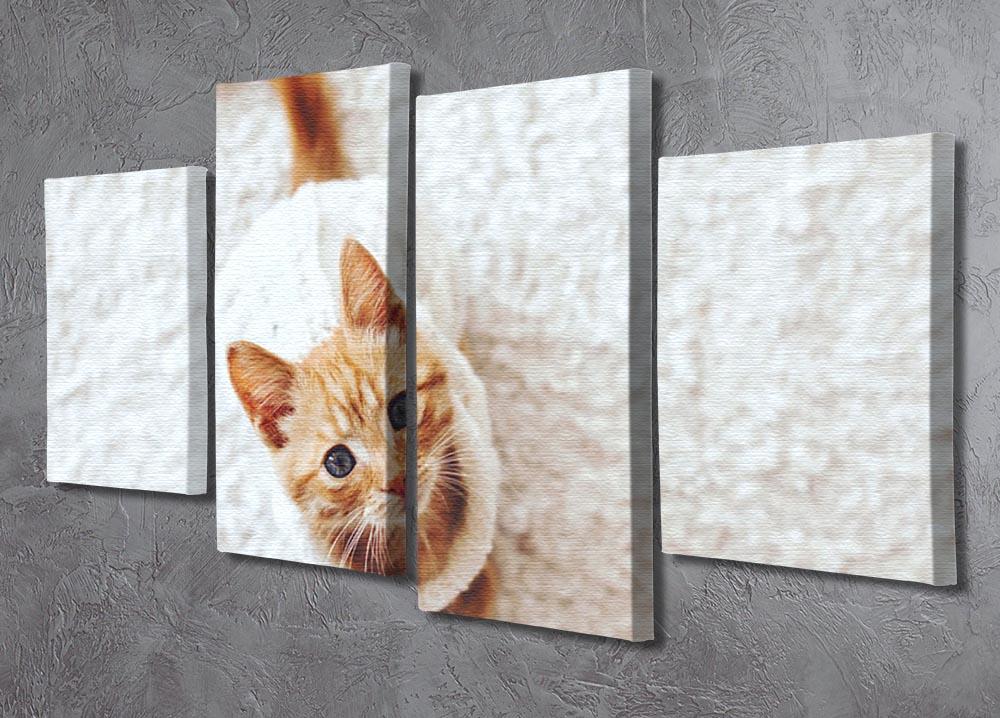 Cute little kitten wearing warm knitted sweater 4 Split Panel Canvas - Canvas Art Rocks - 2