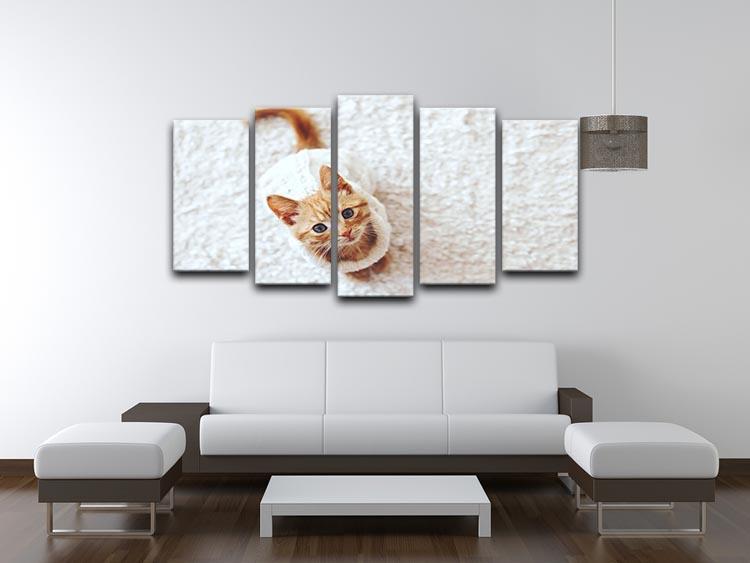 Cute little kitten wearing warm knitted sweater 5 Split Panel Canvas - Canvas Art Rocks - 3