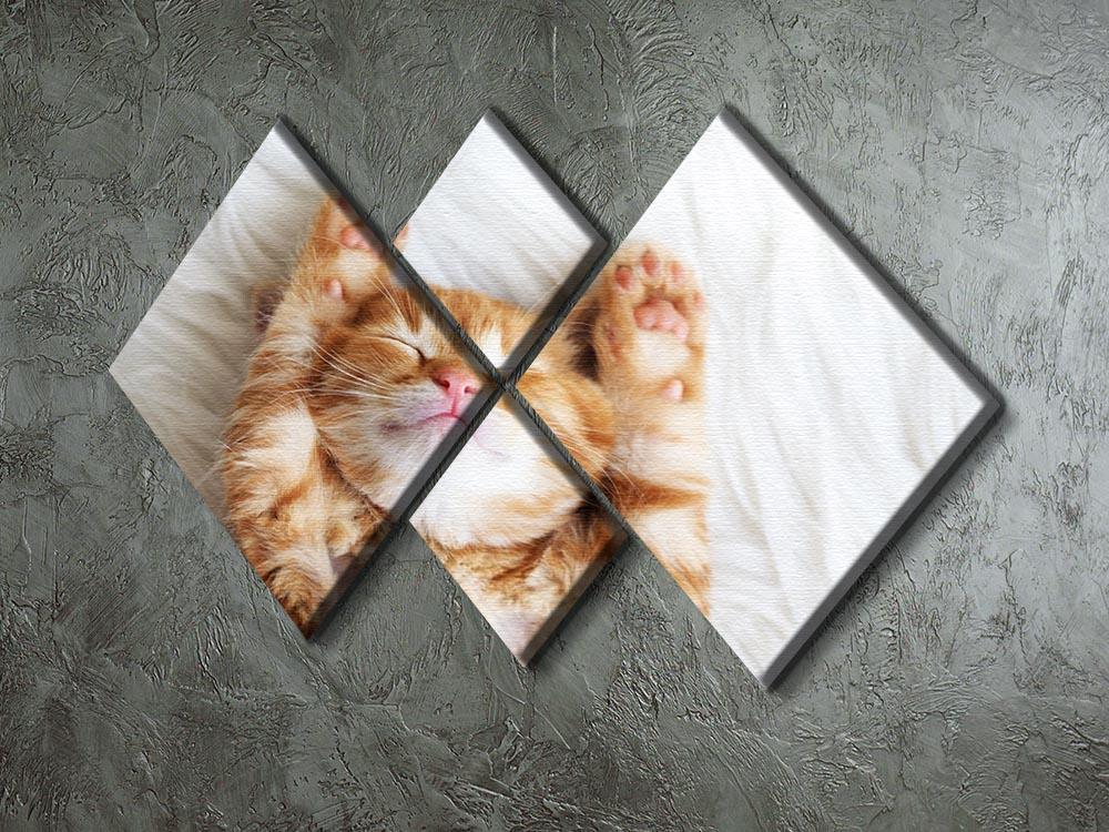 Cute little red kitten sleeps on fur white blanket 4 Square Multi Panel Canvas - Canvas Art Rocks - 2