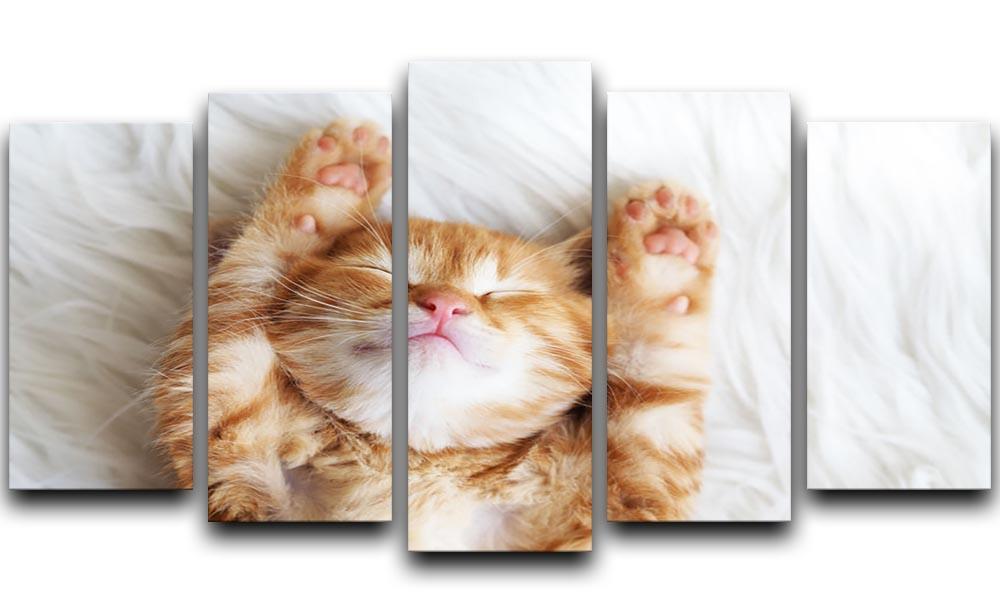 Cute little red kitten sleeps on fur white blanket 5 Split Panel Canvas - Canvas Art Rocks - 1