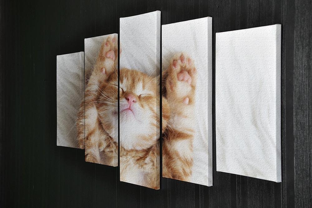 Cute little red kitten sleeps on fur white blanket 5 Split Panel Canvas - Canvas Art Rocks - 2