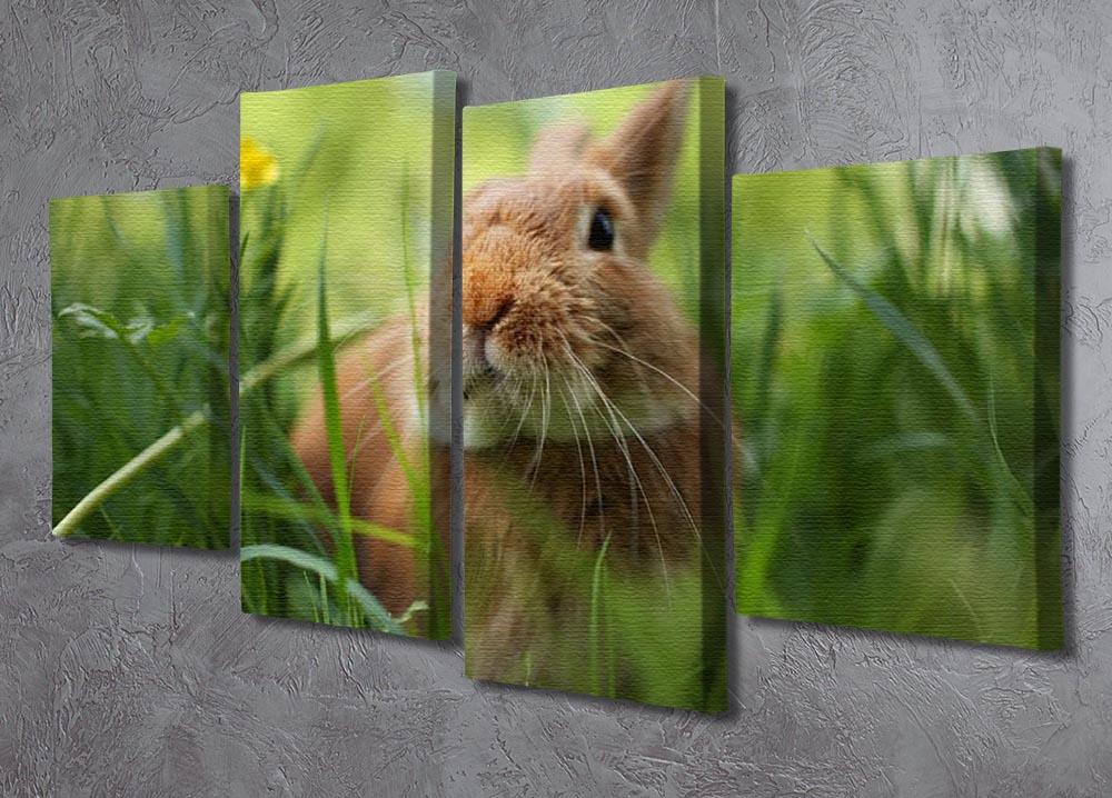 Cute rabbit in green grass 4 Split Panel Canvas - Canvas Art Rocks - 2
