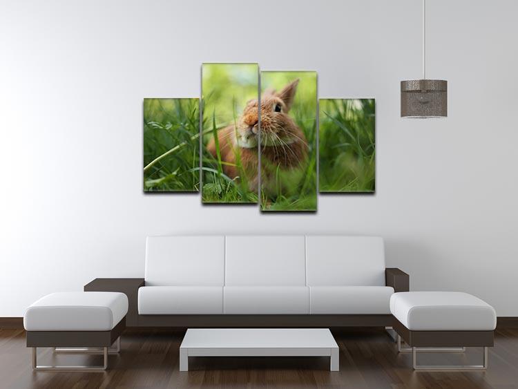 Cute rabbit in green grass 4 Split Panel Canvas - Canvas Art Rocks - 3