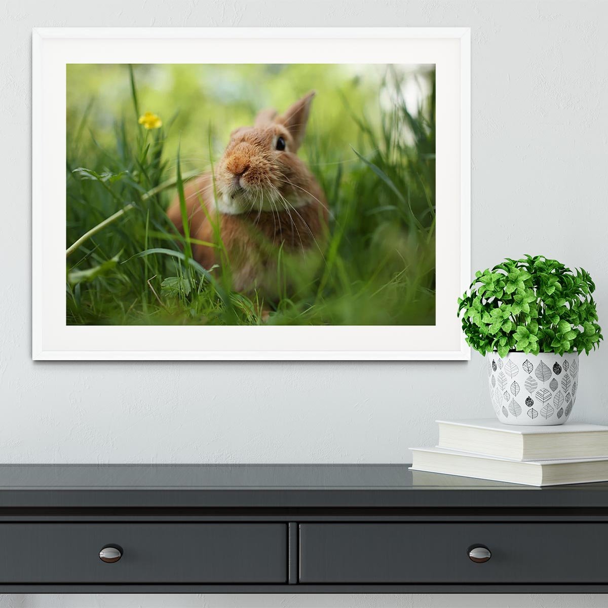 Cute rabbit in green grass Framed Print - Canvas Art Rocks - 5