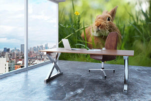 Cute rabbit in green grass Wall Mural Wallpaper - Canvas Art Rocks - 3
