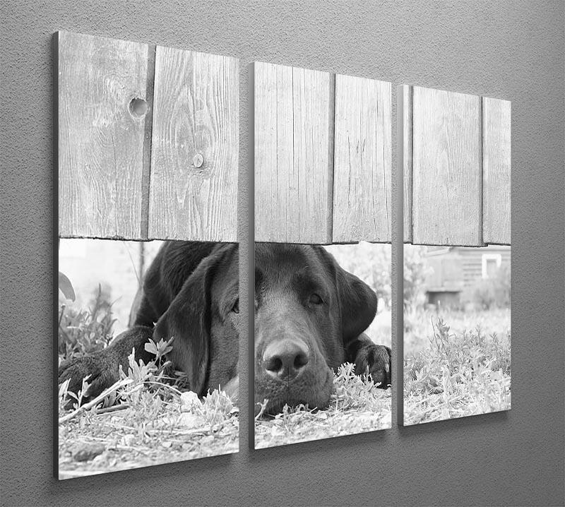 Cute sad dog waiting under the wooden fence 3 Split Panel Canvas Print - Canvas Art Rocks - 2