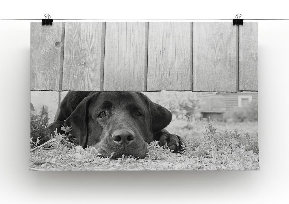 Cute sad dog waiting under the wooden fence Canvas Print or Poster - Canvas Art Rocks - 2