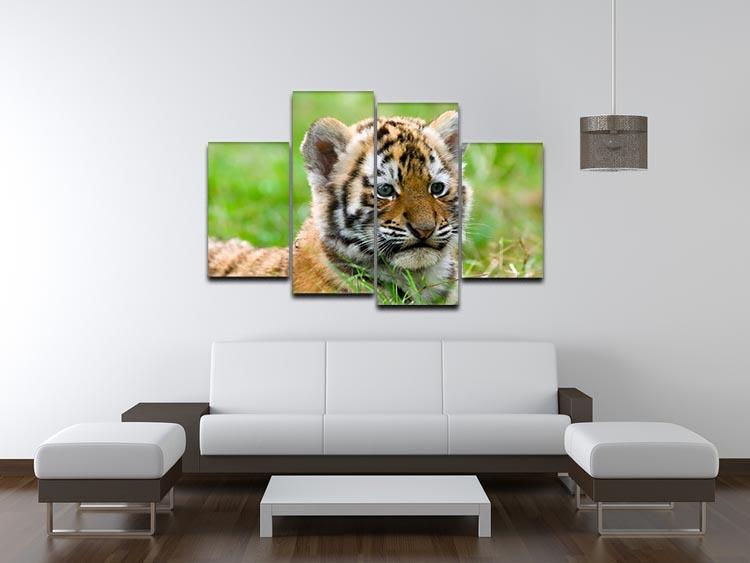 Cute siberian tiger cub 4 Split Panel Canvas - Canvas Art Rocks - 3