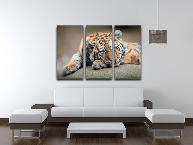 Cute tiger cub resting lazily 3 Split Panel Canvas Print - Canvas Art Rocks - 3