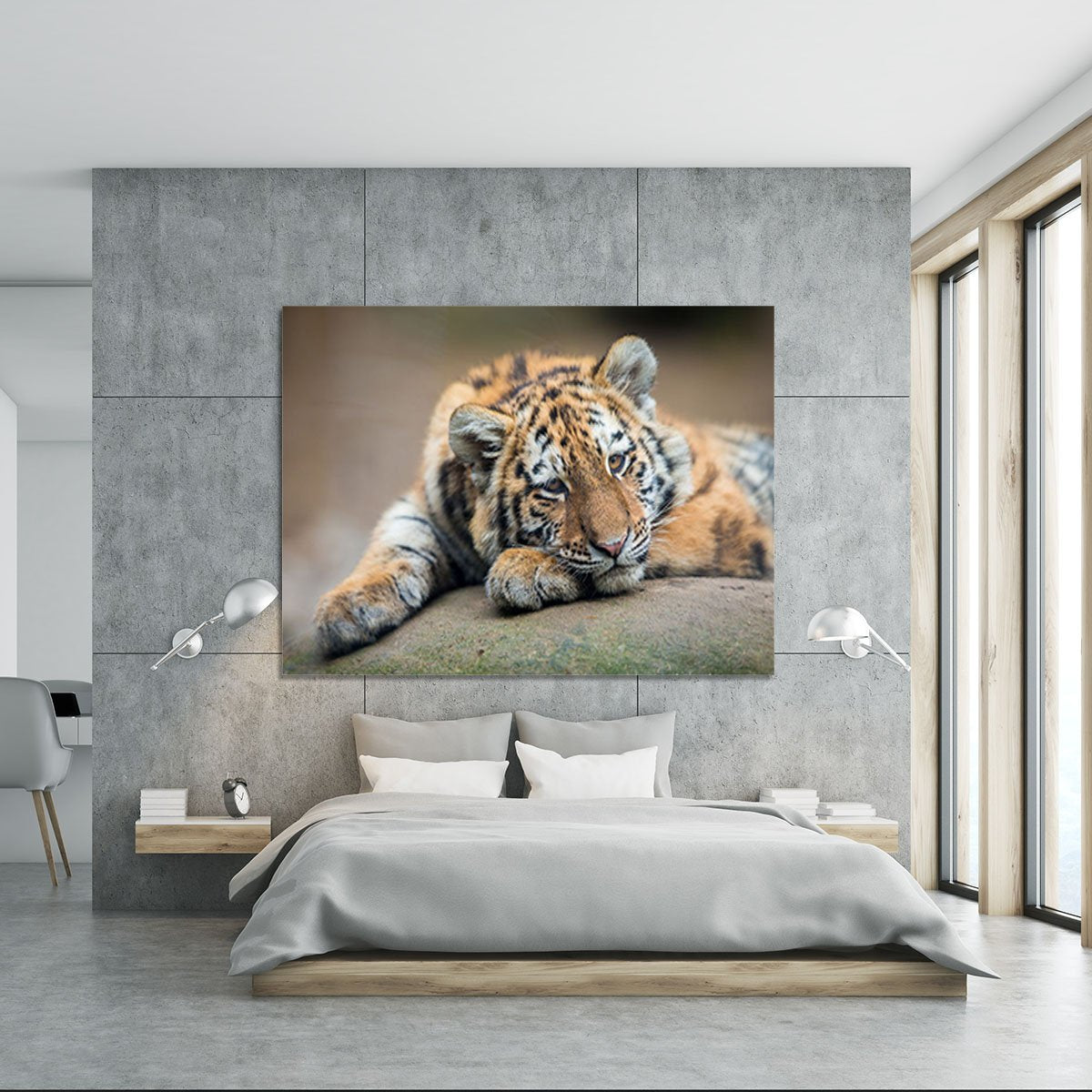 Cute tiger cub resting lazily Canvas Print or Poster