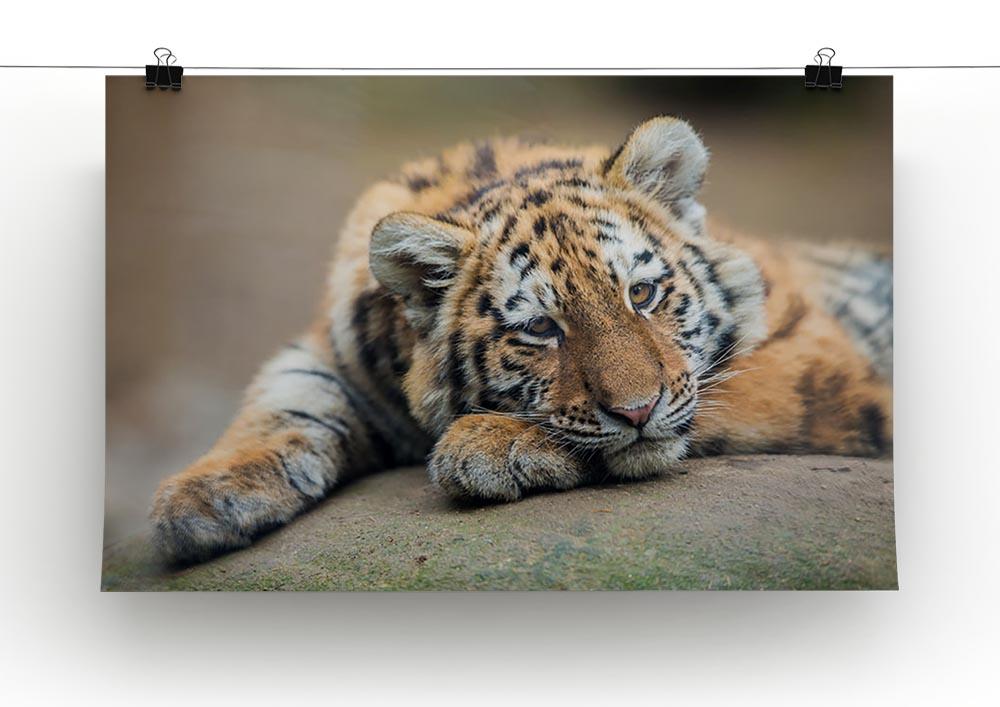 Cute tiger cub resting lazily Canvas Print or Poster - Canvas Art Rocks - 2